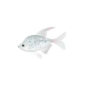 Diamond Tetra